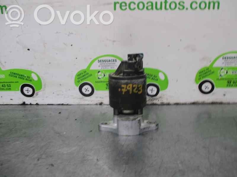 Daewoo Lanos Válvula EGR 