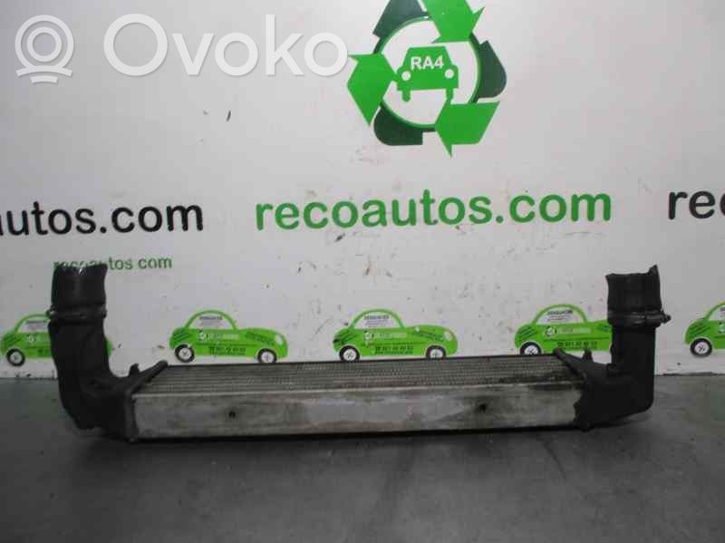 Intercooler radiator   17512246795