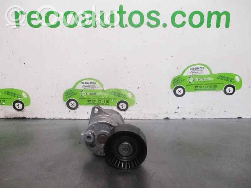 Mercedes-Benz CLK A209 C209 Generator/alternator belt tensioner 