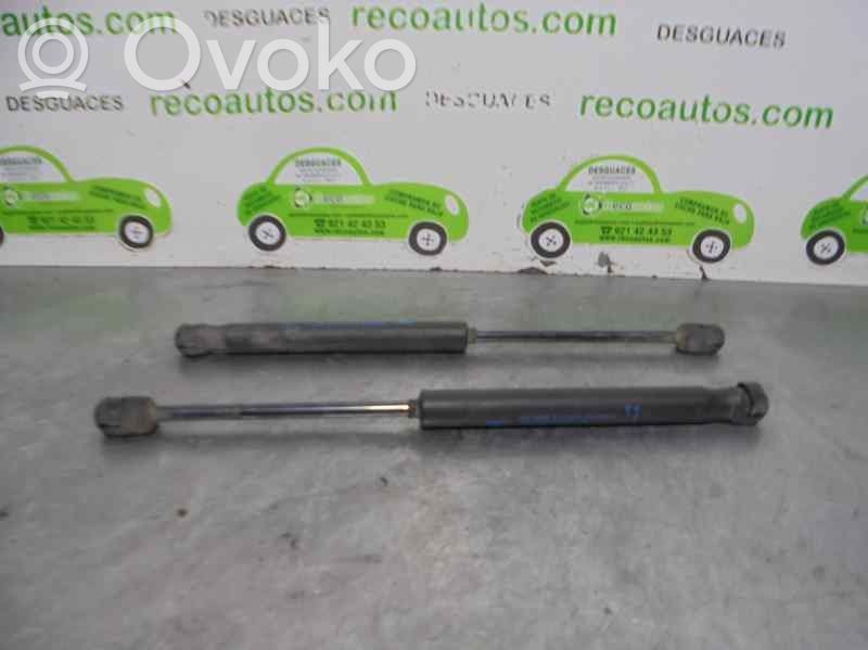 Peugeot 407 Ammortizzatore portellone posteriore/bagagliaio 
