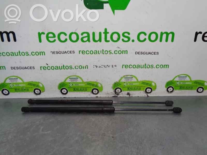 Mazda 2 Tailgate/trunk strut/damper 