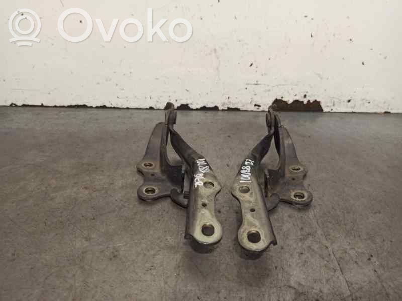 Bisagras del capó/tapa del motor