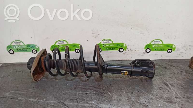 Amortyzator osi przedniej ze sprężyną   71713674