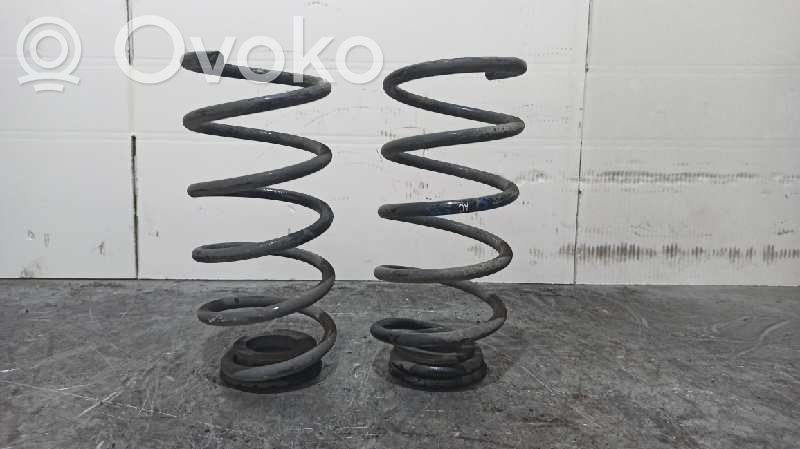 Front coil spring   424112