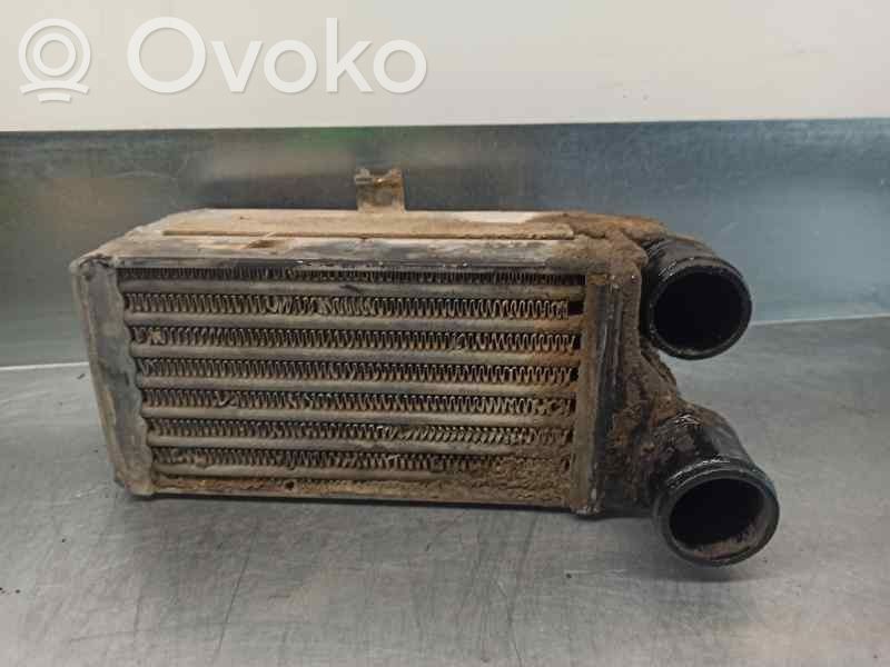 Jeep Cherokee XJ Starpdzesētāja radiators 