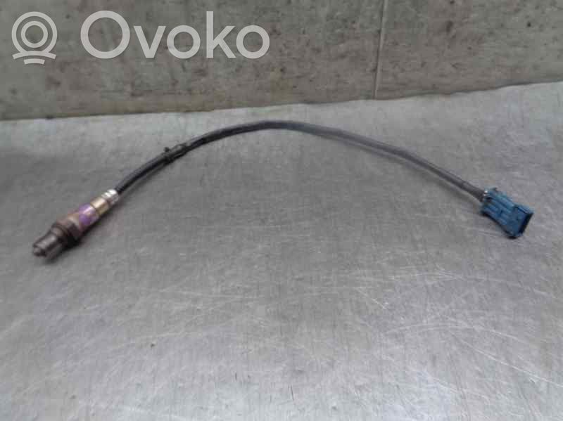 Citroen Xsara Lambda zondas 
