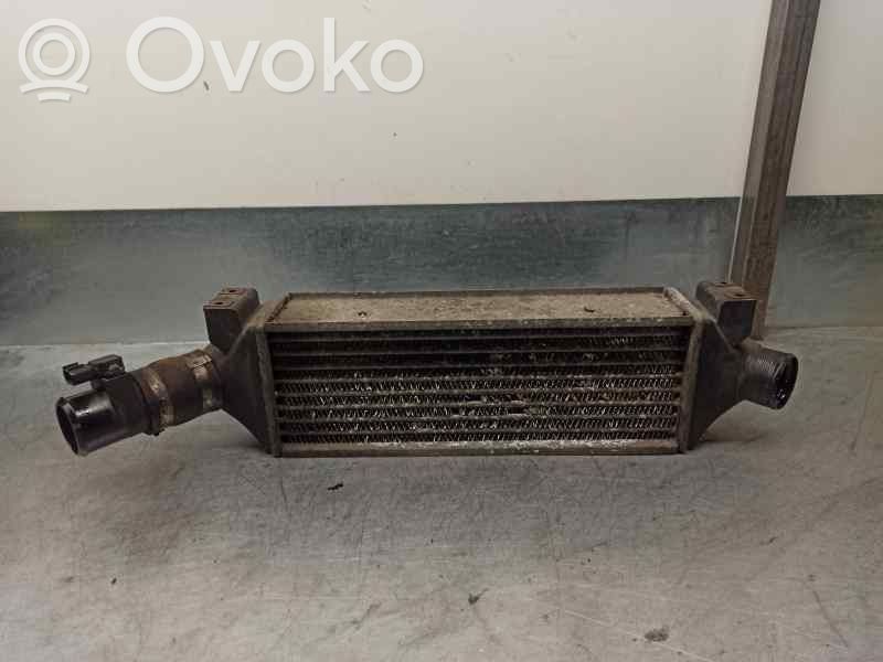 Ford Transit Interkūlerio radiatorius 