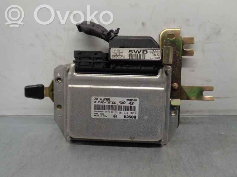 Hyundai Matrix Engine control unit/module 