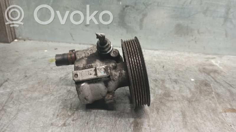 Renault Vel Satis Vairo stiprintuvas (elektrinis) 
