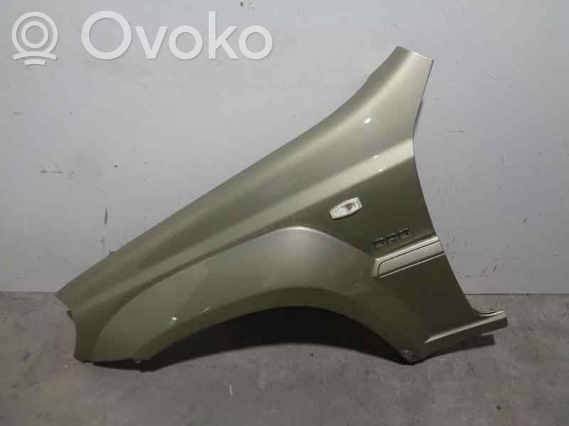 Hyundai Terracan Fender 