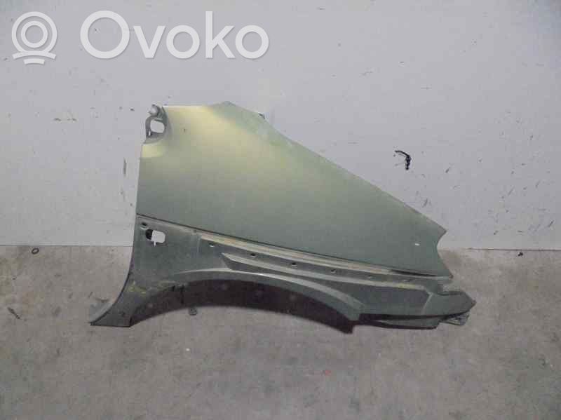 Renault Scenic I Fender 
