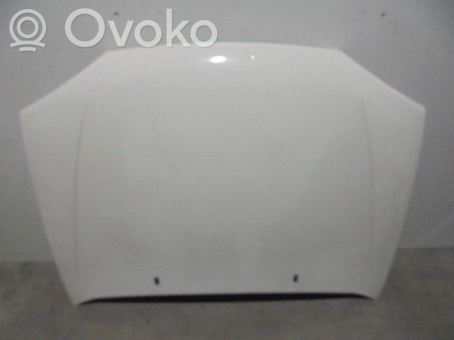 Ford Fiesta Konepelti 