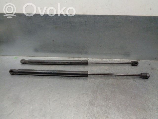 Dodge Caliber Tailgate/trunk strut/damper 