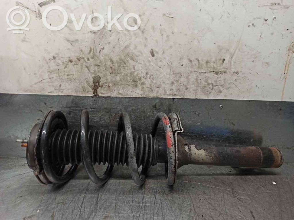 Front shock absorber with coil spring