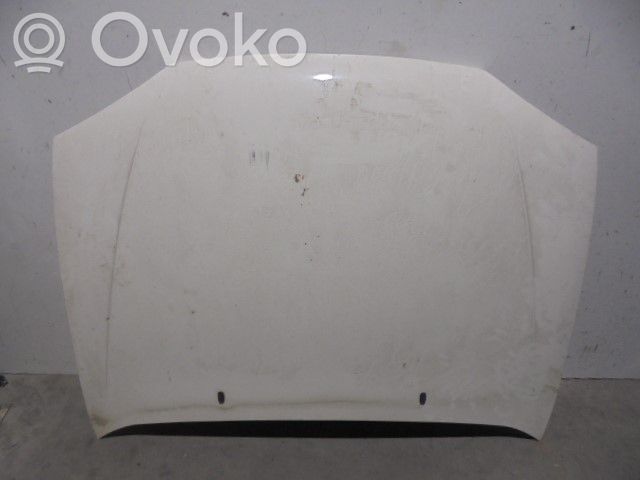 Ford Fiesta Konepelti 