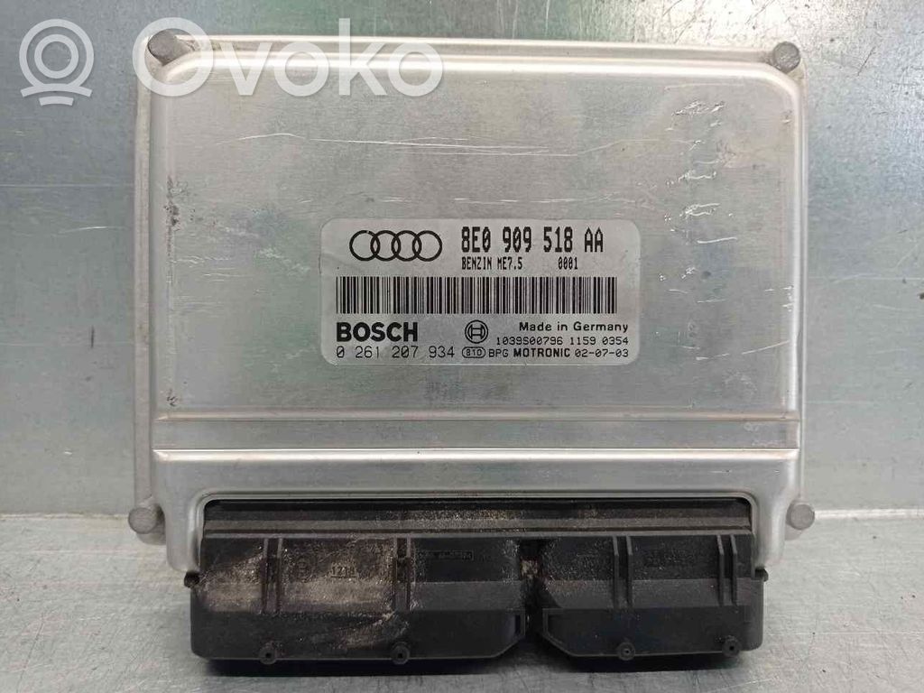 Audi A4 S4 B6 8E 8H Engine control unit/module 