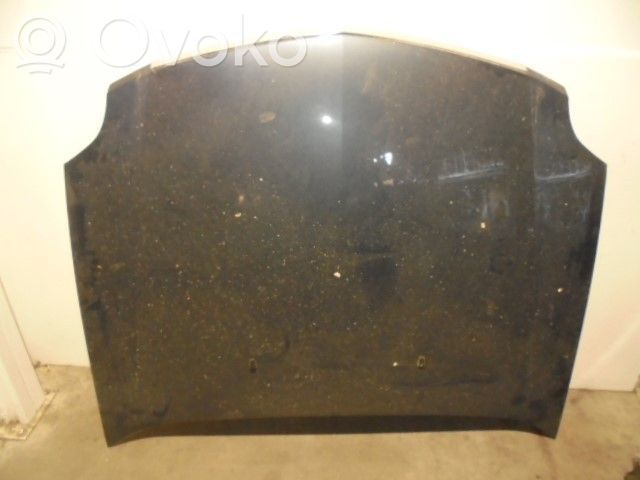 Dzinēja pārsegs (vāks)   VERDEAZULADO