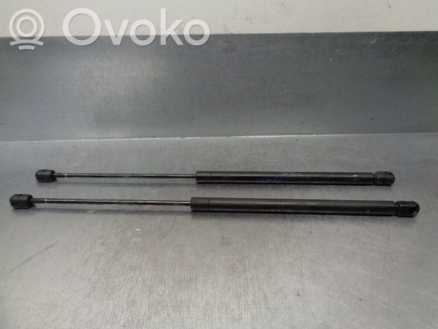Citroen Axel Tailgate/trunk strut/damper 