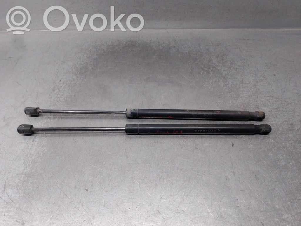 Dodge Caliber Tailgate/trunk strut/damper 