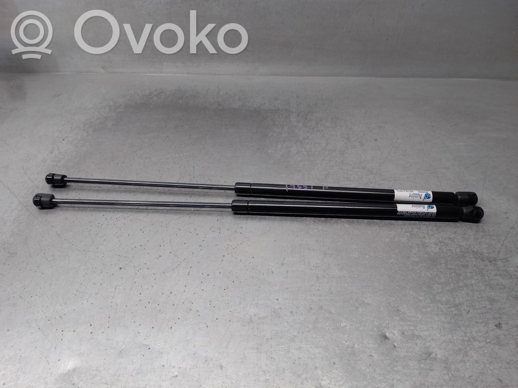 Renault Scenic I Ammortizzatore portellone posteriore/bagagliaio