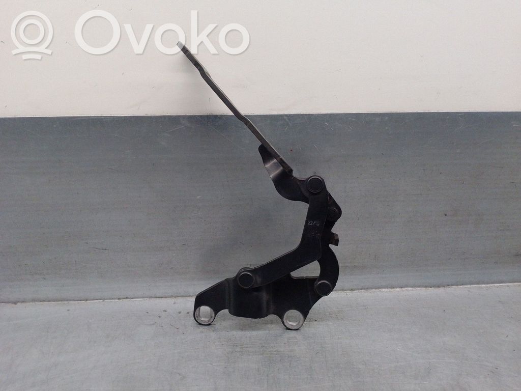 Fiat Coupe Cerniere del vano motore/cofano 