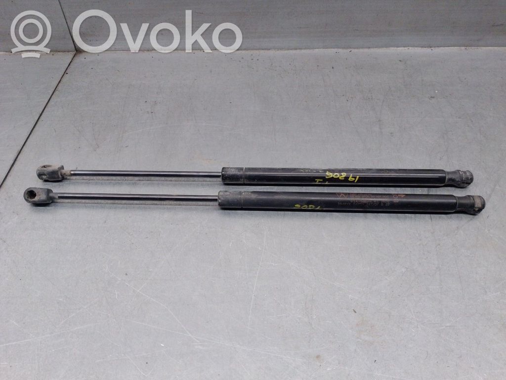 Dodge Caliber Tailgate/trunk strut/damper 