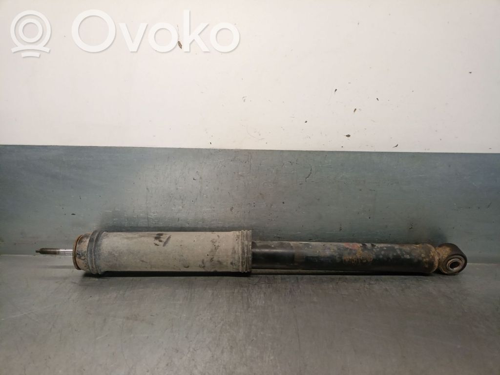 Hyundai Santa Fe Amortizor spate 