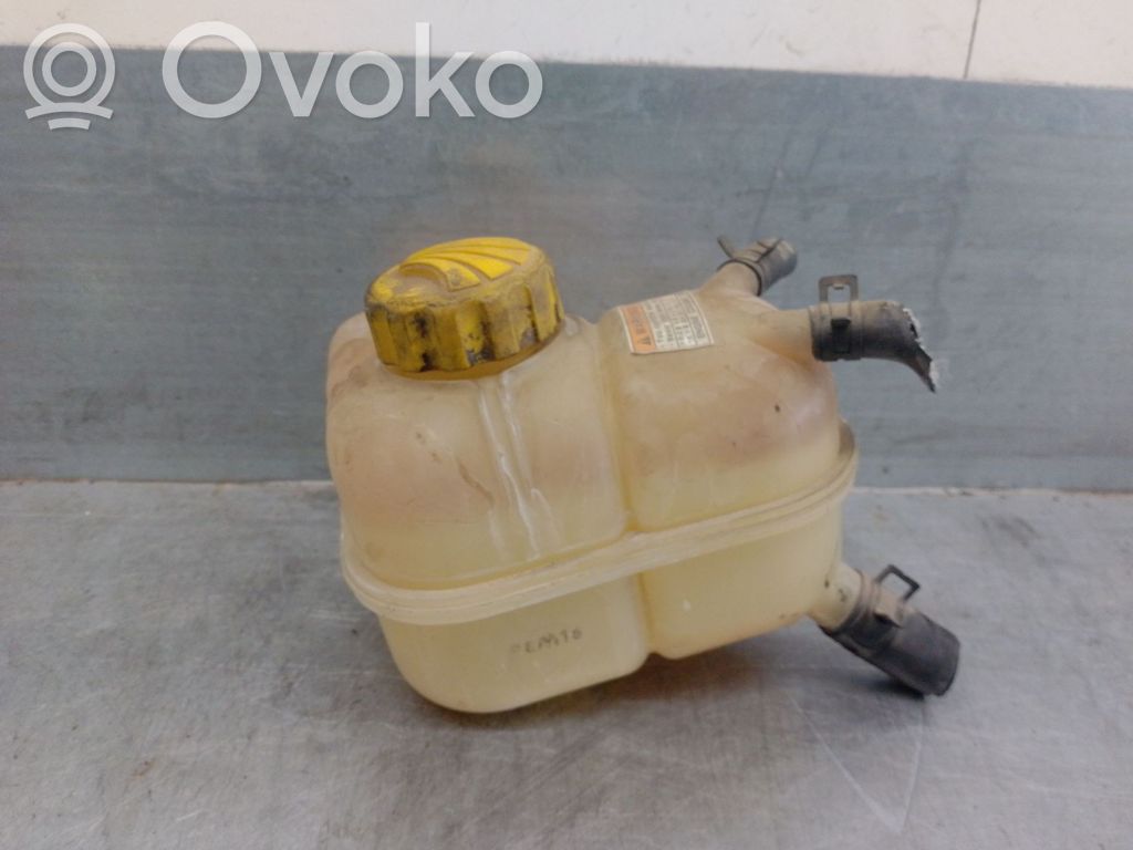 Daewoo Lanos Kuro išsiplėtimo bakelis 