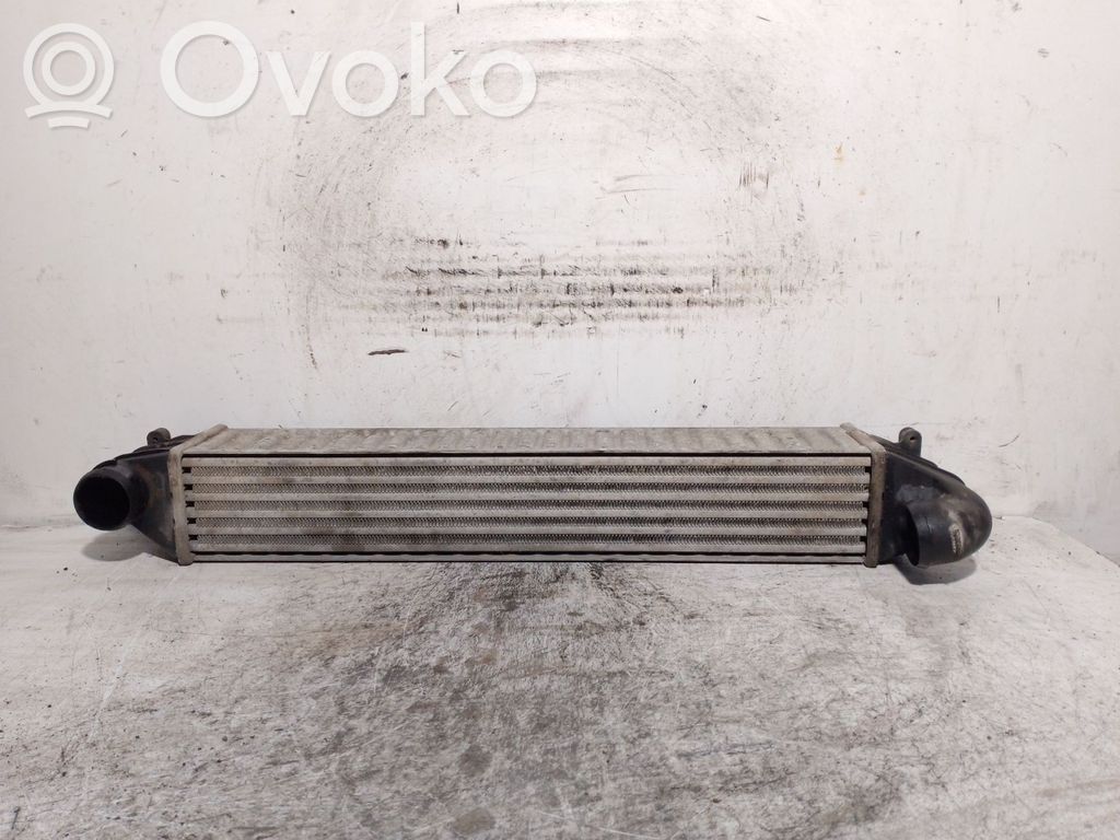 Seat Alhambra (Mk1) Interkūlerio radiatorius 