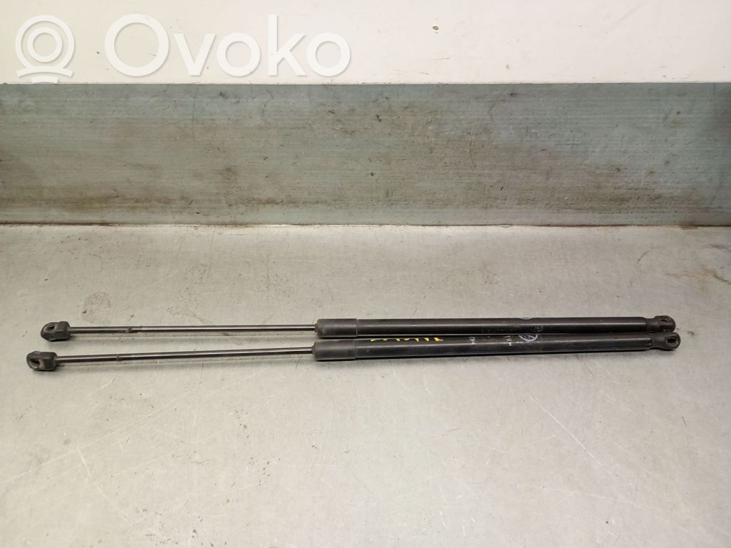 Ford C-MAX II Tailgate/trunk strut/damper 