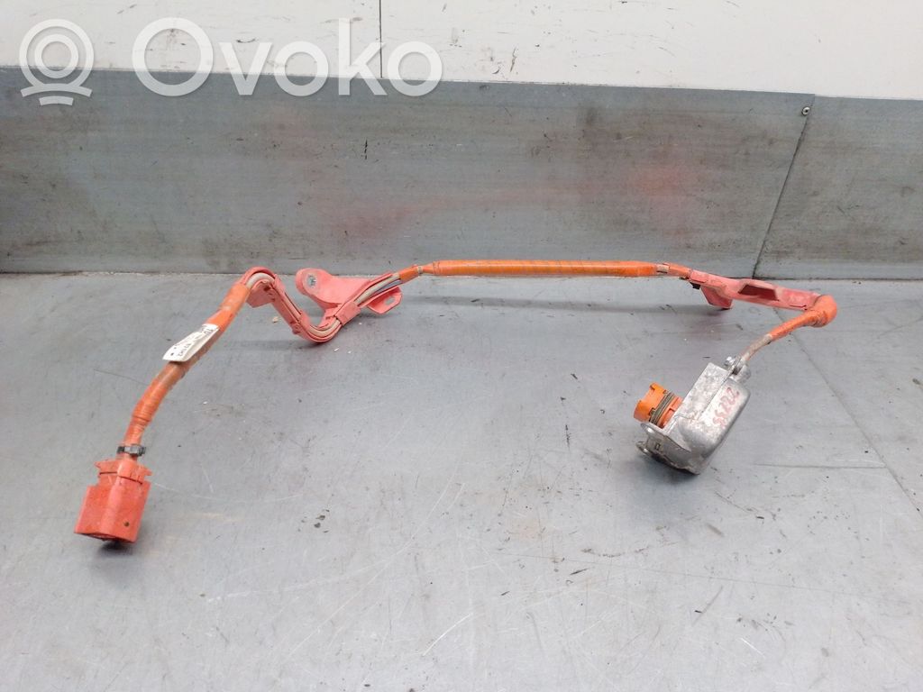 Cablaj motor   821H247010,821H247010
