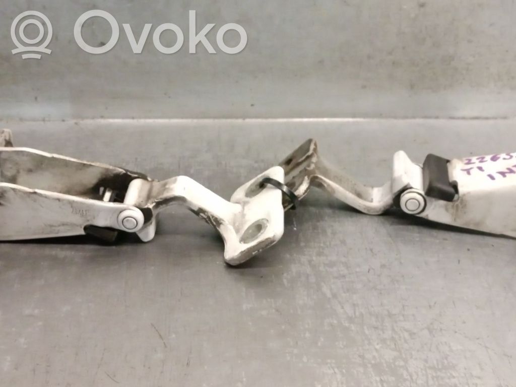 Renault Kangoo II Tailgate/trunk/boot hinge 