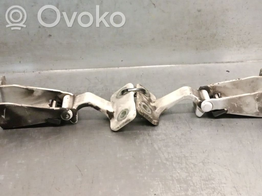 Renault Kangoo II Tailgate/trunk/boot hinge 