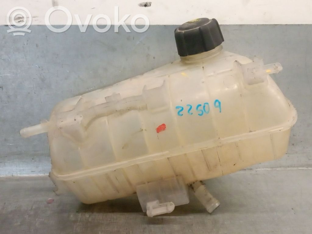 Renault Kangoo II Kuro išsiplėtimo bakelis 