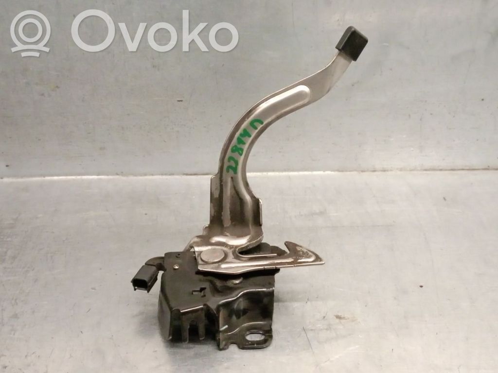 Tie down hook / loop   3060470