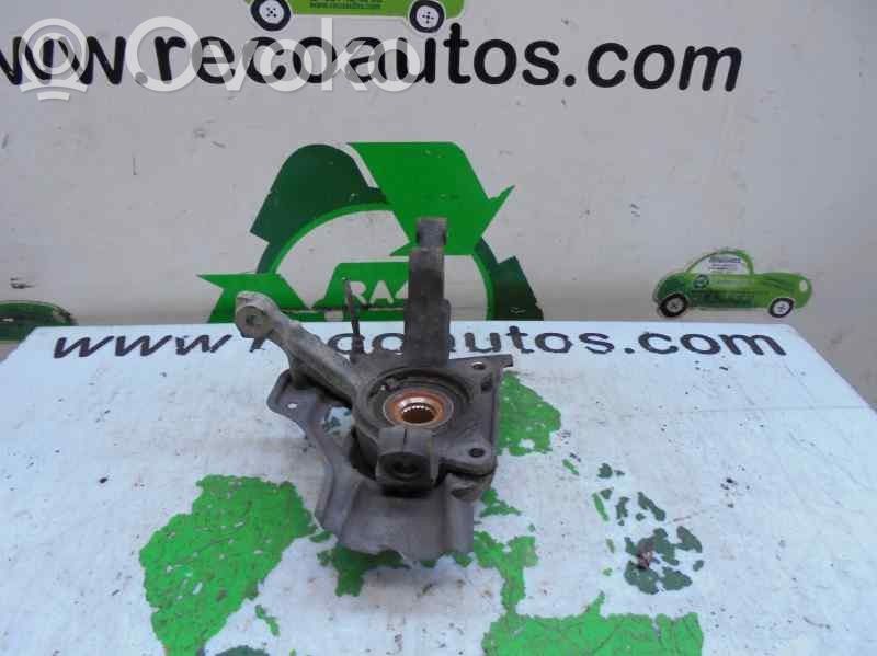 Fiat Punto (188) Front wheel hub spindle knuckle 