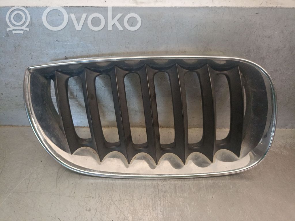 BMW X3 E83 Front grill 