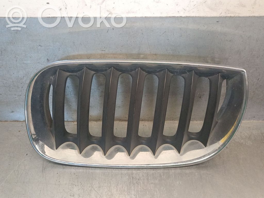 BMW X3 E83 Front grill 