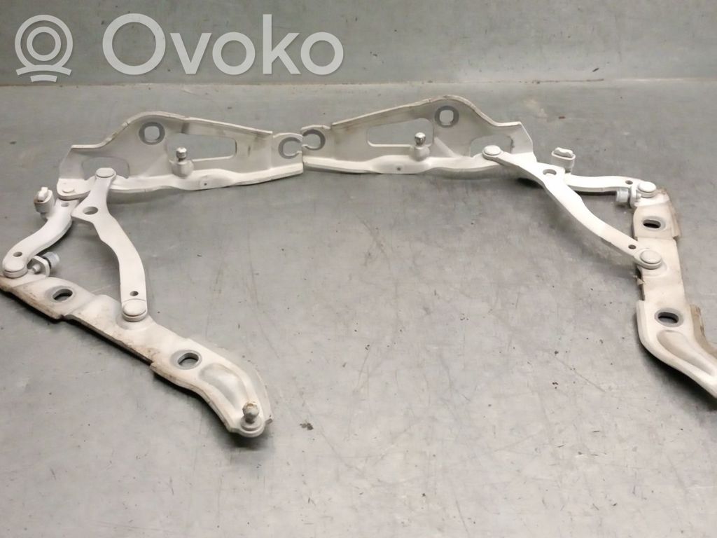 BMW 3 E90 E91 Cerniera portellone posteriore/bagagliaio
