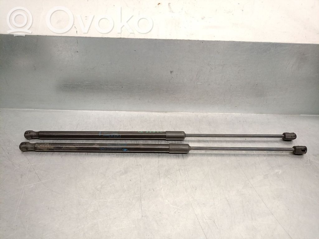 Dacia Duster III Tailgate/trunk strut/damper 