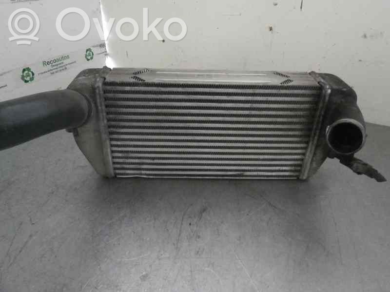 KIA Carnival Interkūlerio radiatorius 