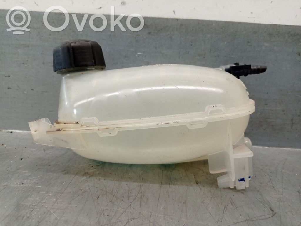 Nissan Juke II F16 Vas expansiune combustibil 