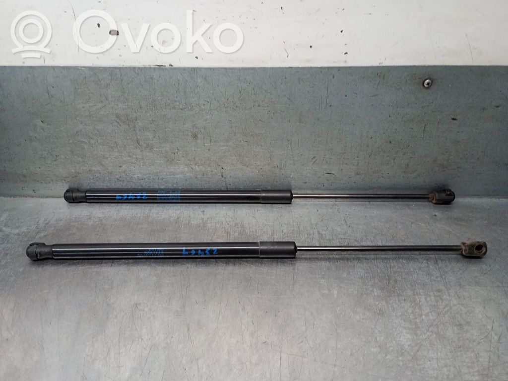 Land Rover Freelander 2 - LR2 Ammortizzatore portellone posteriore/bagagliaio 