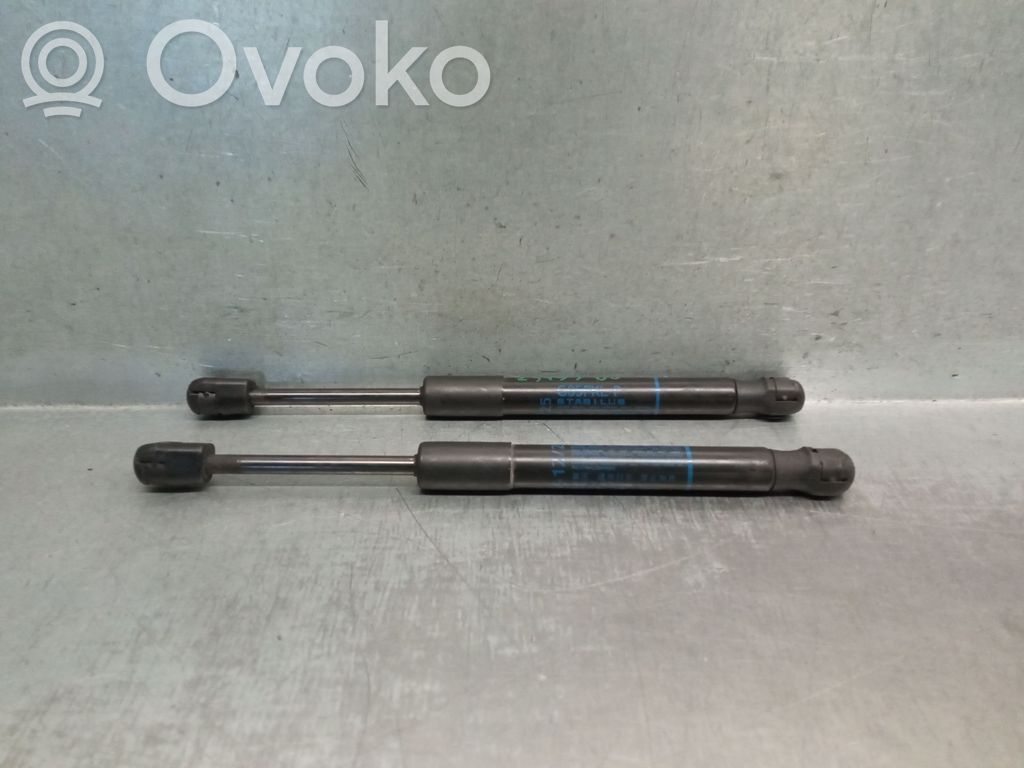 BMW X6 M Amortizor capotă motor 