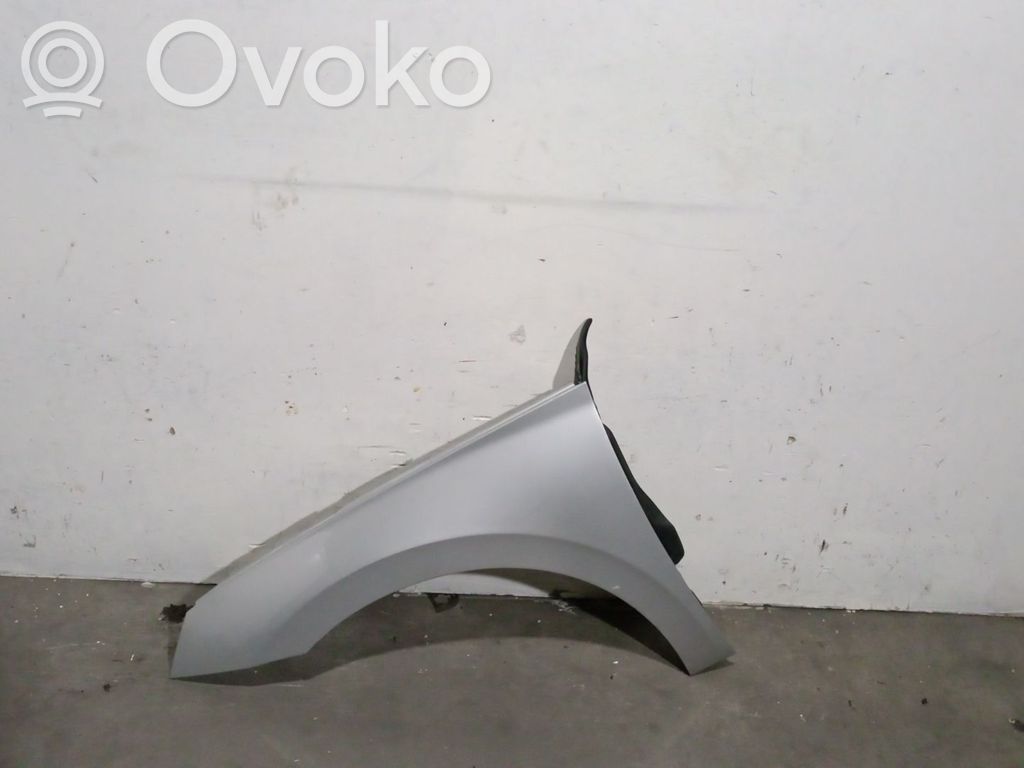 Guardabarro   5652862,5652862