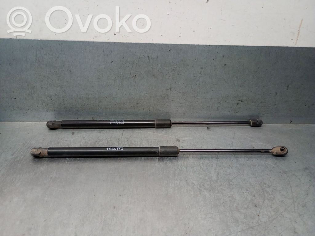 Citroen C4 II Picasso Amortizor hayon