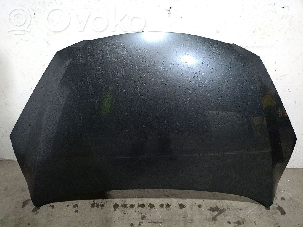 Dzinēja pārsegs (vāks)   ZY