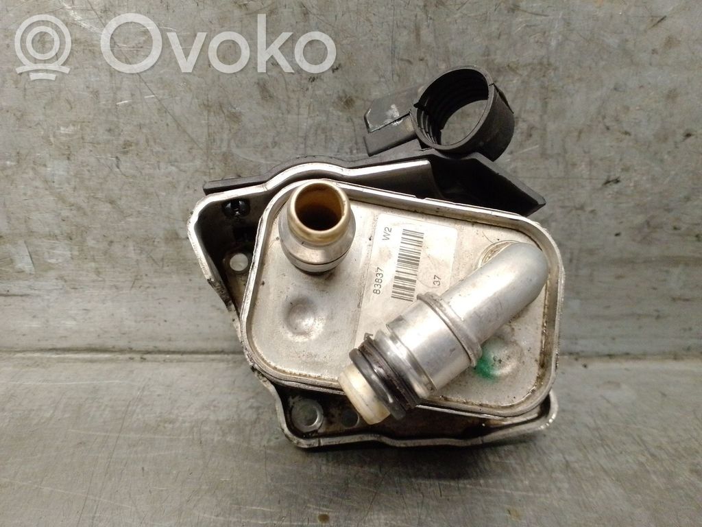 BMW 3 E46 Engine oil radiator 