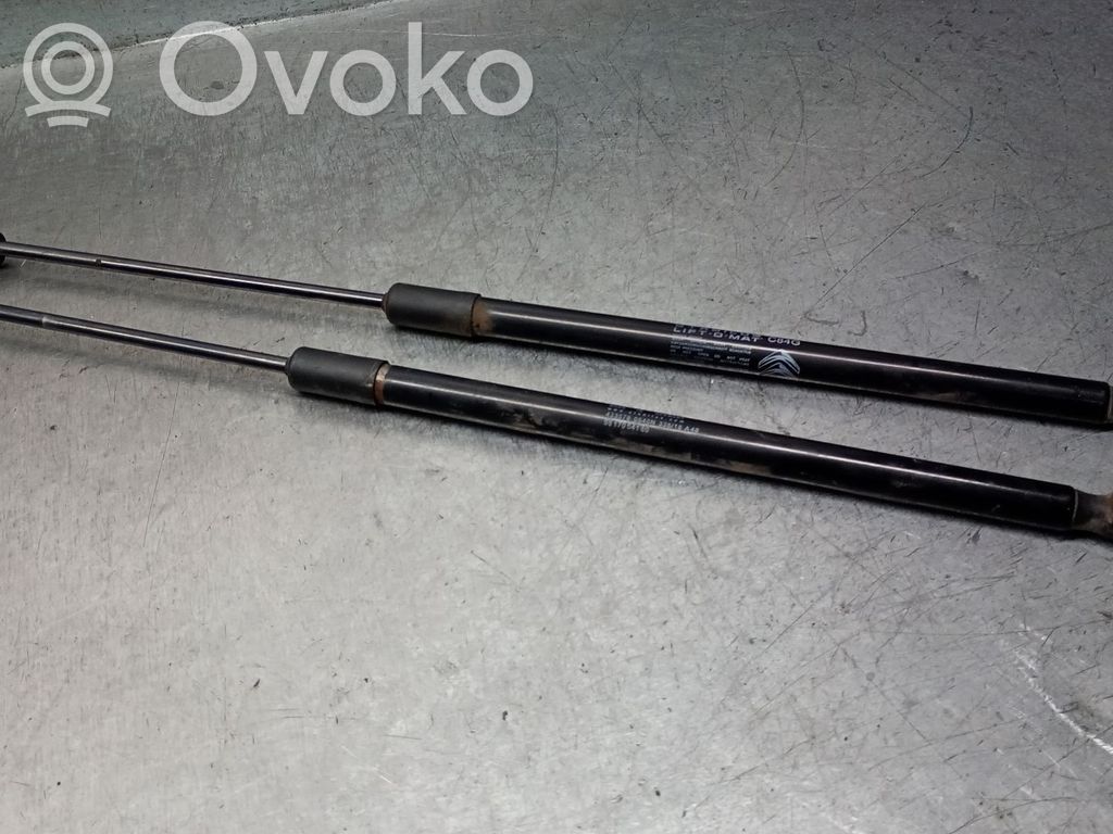 Citroen C5 Aircross Ammortizzatore portellone posteriore/bagagliaio