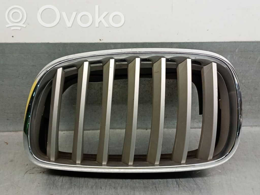 BMW X6 E71 Front grill 